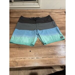 Quiksilver Surf Surfsilk Board Shorts Men's Size 40 Blue/ Green
